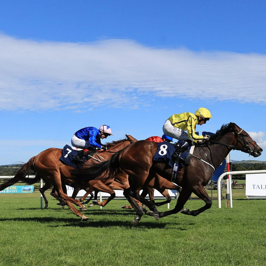 Asset to support Hartes Group sponsoring NaaS Races